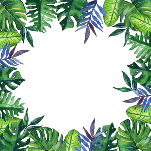 手绘热带水彩圆形框架，白色背景上有异国情调的棕榈香蕉叶。 你的文字空间。 平方格式。