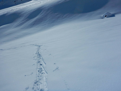 skitouring 在美丽的雪山阿尔卑斯山