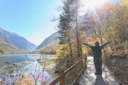 一个人站在森林的湖里沐浴在阳光下照片