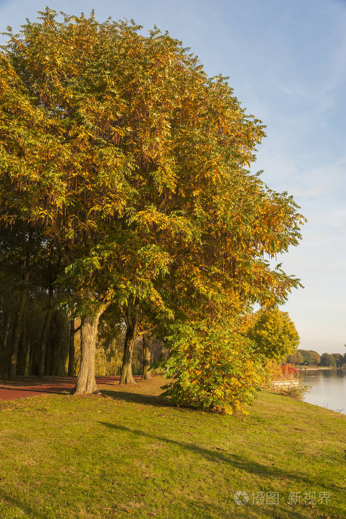公园里的秋日阳光明媚的一天照片-正版商用图片11a2g6-摄图新视界