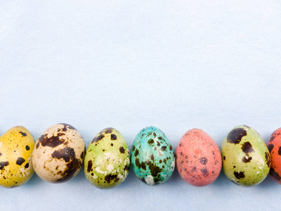鹌鹑复活节彩蛋在巢上涂上蓝色的背景。 快关门。