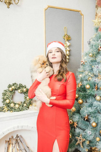 女孩在红色礼服与狗在圣诞树附近