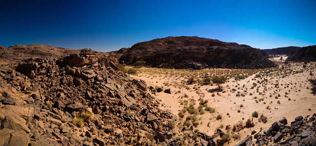 阿尔及利亚 Tassili najjer 国家公园的 El Berdj 山和视网膜电图峡谷空中全景