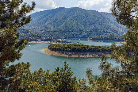 瓦查大坝周围的绿色森林，罗多普斯山，普罗夫迪夫地区，保加利亚