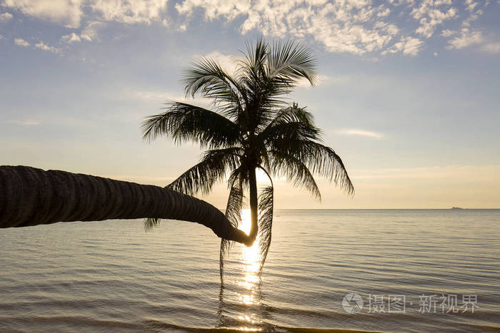 椰树剪影和日落时的海水波浪