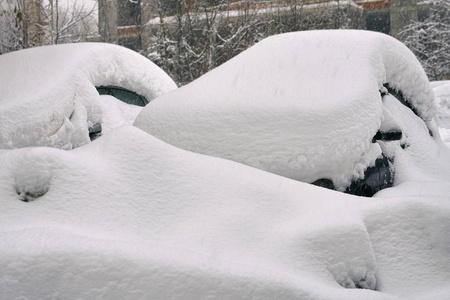 暴风雪过后, 莫斯科大街上的汽车被埋在雪地里。