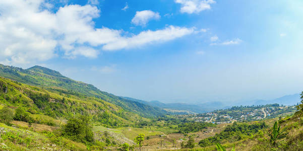 山中白菜与草莓种植全景