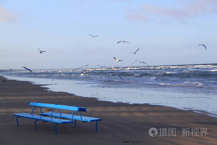 海鸥飞过波罗的海