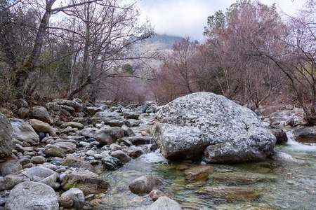 一个美丽的风景, 在春天森林里的一条高山河流, 日