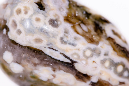 白色背景的宏观矿物石碧玉大洋图片