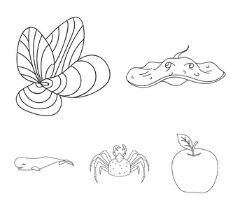 电动坡道, 贻贝, 蟹, 抹香鲸。海洋动物集合图标的轮廓样式矢量符号股票插画网站