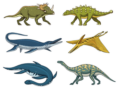 恐龙依拉丝莫龙, mosasaurus, barosaurus, 梁龙, 环江, 甲龙, 伶