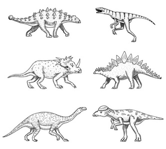 恐龙集, 三角, barosaurus, 宽蜥蜴, 剑龙, pachycephalosaurus, 梁龙
