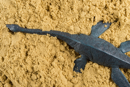 历史动物挖掘沙概念的蛇颈龙图片