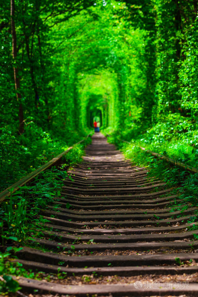 在春天森林铁路