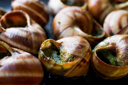 蜗牛 de 艮蜗牛食物用香草黄油, 法国美食菜