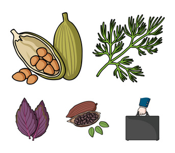 香草和香料集合图标在卡通风格矢量符号股票插画网站照片