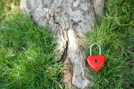 在草坪上的关键红心, 爱和情人的概念