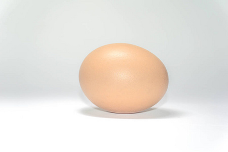 白色背景下的一只鸡蛋