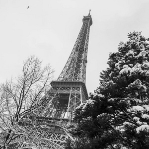 埃菲尔铁塔, 巴黎下雪日