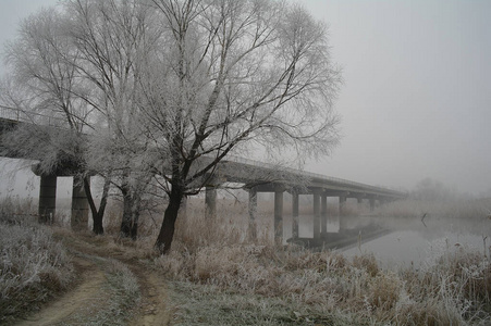 冬天在河上的桥