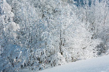 冬天山下雪的风景