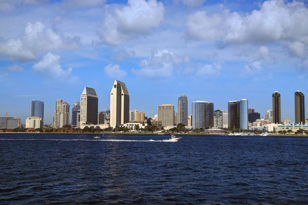 湾,肯尼亚指已提到的人灰色的-有头的紫水鸡紫菜脊髓灰质炎黎明在印度