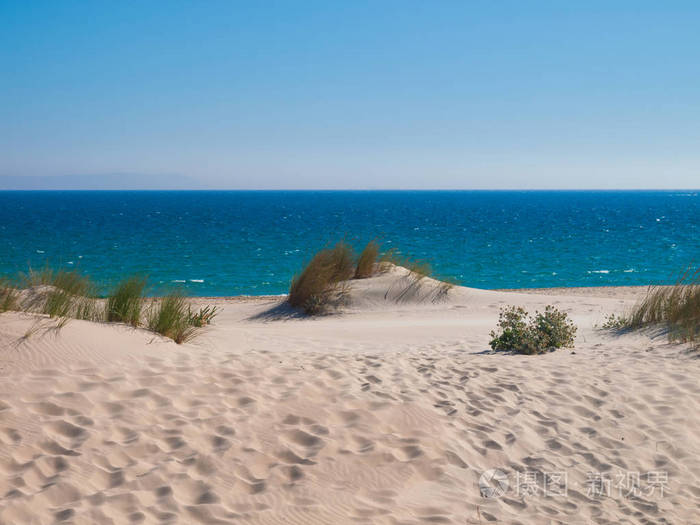沙滩与沙丘博洛尼亚塔利法科斯塔德拉卢兹西班牙