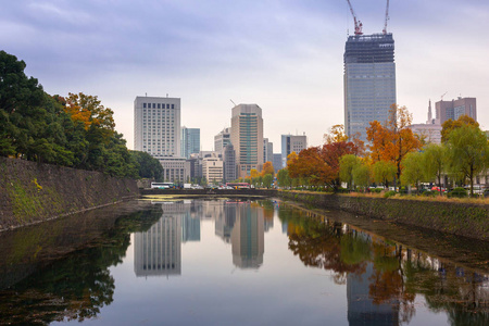 日本秋日公园的东京城市景观