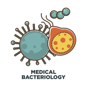 病毒和细菌图标的医学细菌学科学或微生物生物学研究和医疗保健概念。