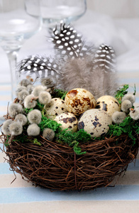 在一个木制的桌子上的巢鹌鹑复活节彩蛋