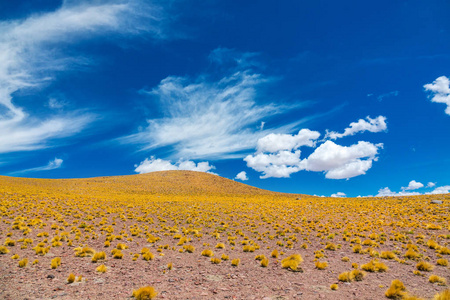 阿塔卡马阿尔蒂普拉纳沙漠热带草原和山脉景观小智利南美洲