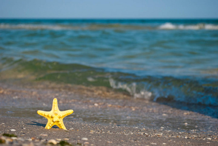 美丽的明亮的明亮的明亮的黄色的海星海居在黄沙上，在蔚蓝的大海和白浪的蓝天上，暑假，夏日，炎热的海滩上