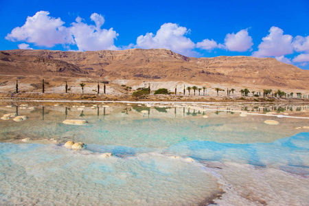 著名的海滨在死海炎热的夏天，以色列。被蒸发的盐覆盖的浅..医疗和生态旅游的概念