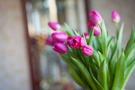 美丽的郁金香花束。软焦点