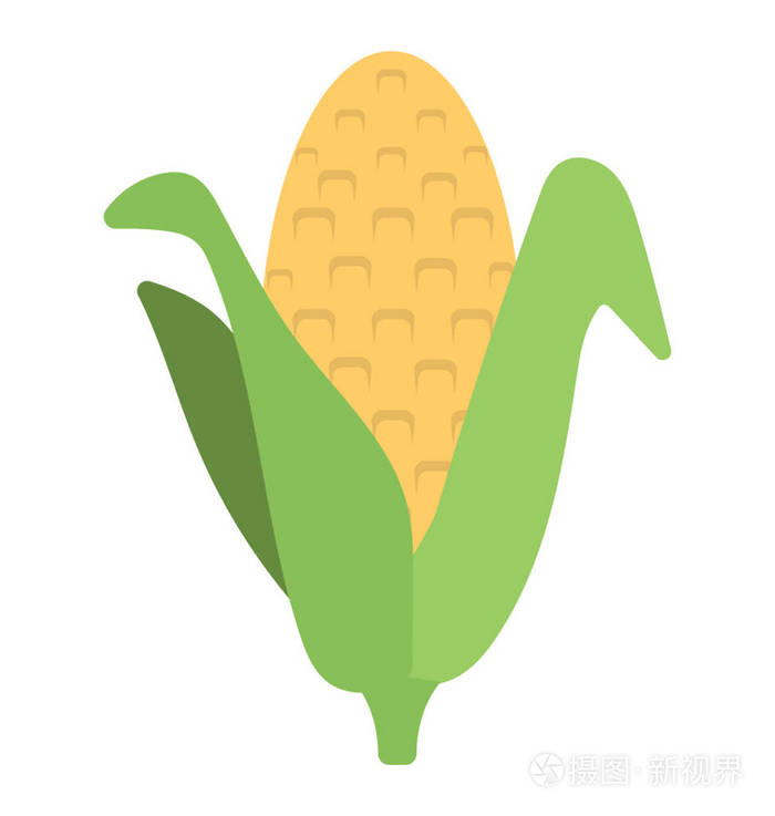玉米在玉米芯上有叶子玉米柄的扁平图标