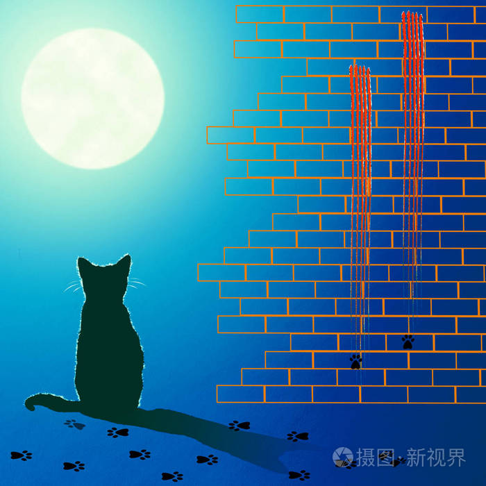 孤独的猫在月光下