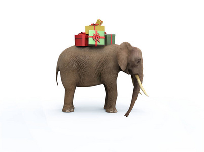 大象与礼品盒。3d 图像