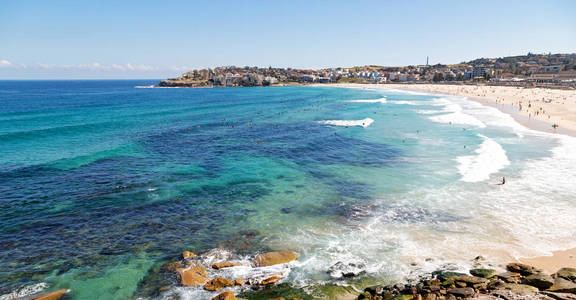 在澳大利亚，海滩游客和冲浪者