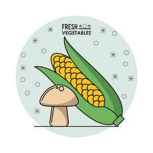 鲜菜玉米蘑菇彩海报图片