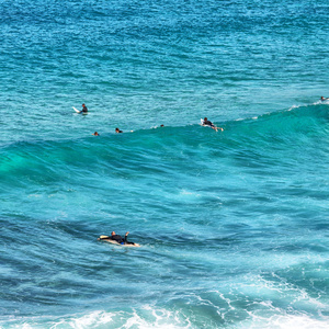 澳大利亚悉尼人在海洋冲浪和运动