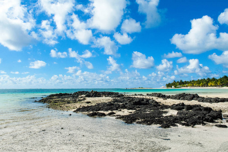 热带海岸的美丽的夏天风景