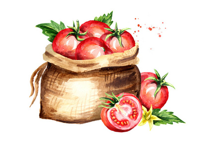 一堆西红柿.水彩手绘插图,在白色背景上隔离照片