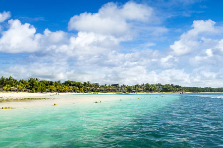 热带海岸的美丽的夏天风景