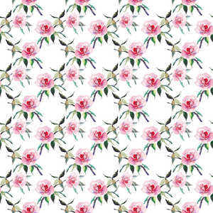 美丽温柔精致可爱可爱的春季花卉草本植物红色粉粉玫瑰绿叶图案水彩手工素描。提供贺卡纺织品壁纸