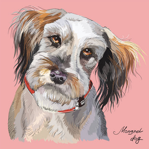 毛茸茸的狗彩色矢量手绘肖像