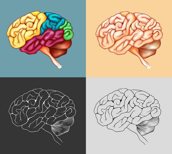 人脑在四设计