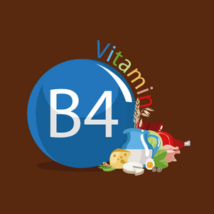 食物来源. 维生素b4含量最高的天然有机产品.照片