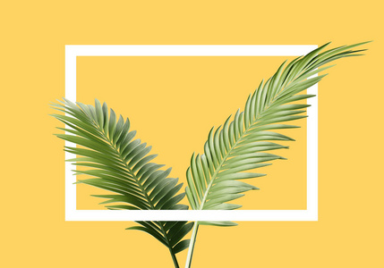 在黄色背景几何概念上有棕榈叶和长方形的枝条