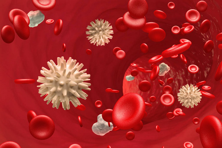 从内部的血液视图。 动脉静脉和血细胞。 医学研究3D插图